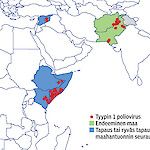 Palaako polio Eurooppaan?