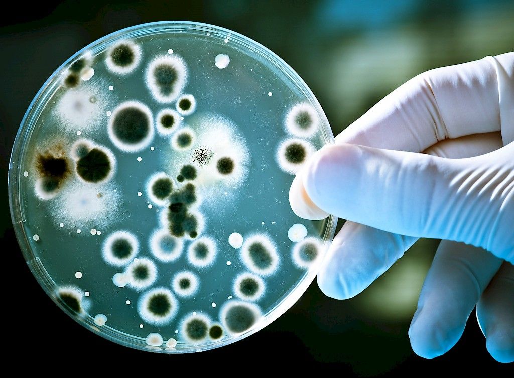 Uusi testi voi paljastaa Mycoplasma genitaliumin