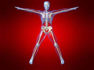 Nilkkamurtuma ja osteoporoosi