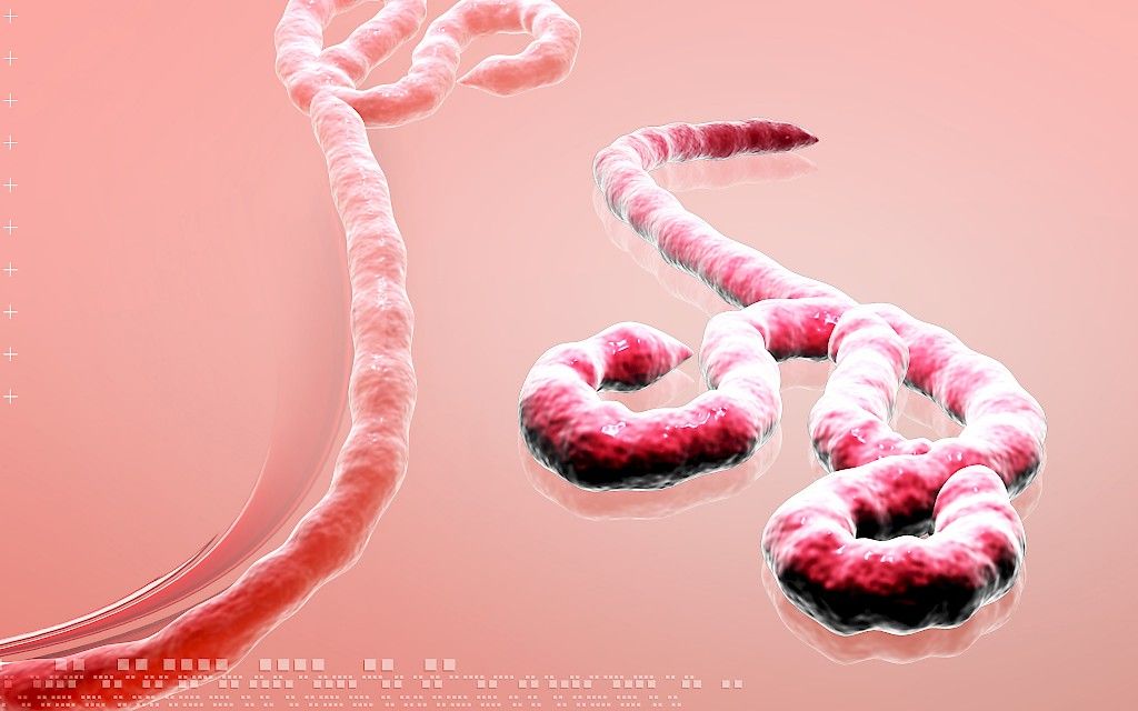 Ebola leviämässä rajusti Liberiassa