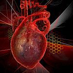 Tupakoinnin lopettaminen vähentää rintakipuja sydänkohtauksen jälkeen