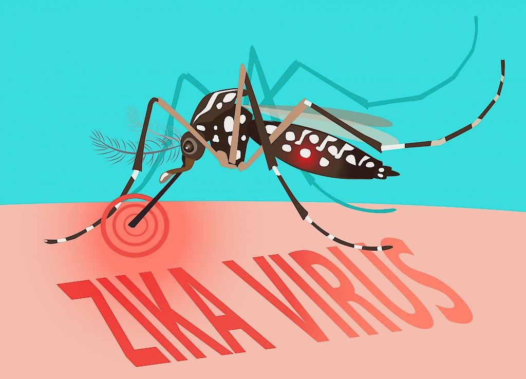 Influenssalääkkeet tepsivät myös zikavirukseen