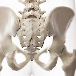 Osteoporoosi murtaa  myös ristiluun