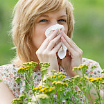 Antihistamiini tehoaa allergiaan