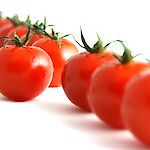Tomaatin sisältämä lykopeeni saattaa ehkäistä aivohalvauksia