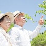 Japani helpottaa ikääntyvän väestön ongelmaa verouudistuksella