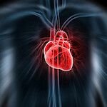 Heikentynyt keuhkojen toiminta yhteydessä sydänperäisen äkkikuoleman vaaraan