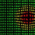 Tutkitut tyytyväisiä periytyvän syövän geenitesteihin