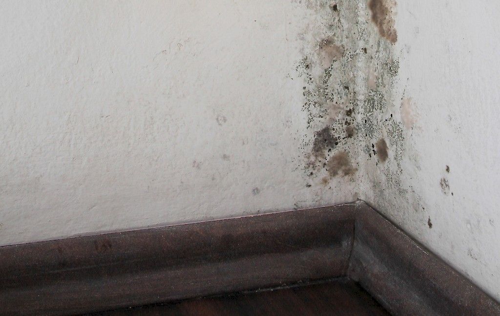 Kosteus- ja homepulmissa  usein kyse ongelmavyyhdestä