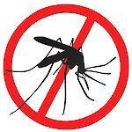 Suomalaismatkailjoiden denguetartunnat lisääntyvät