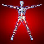 Osteoporoosin hoitoon uusia ohjeita