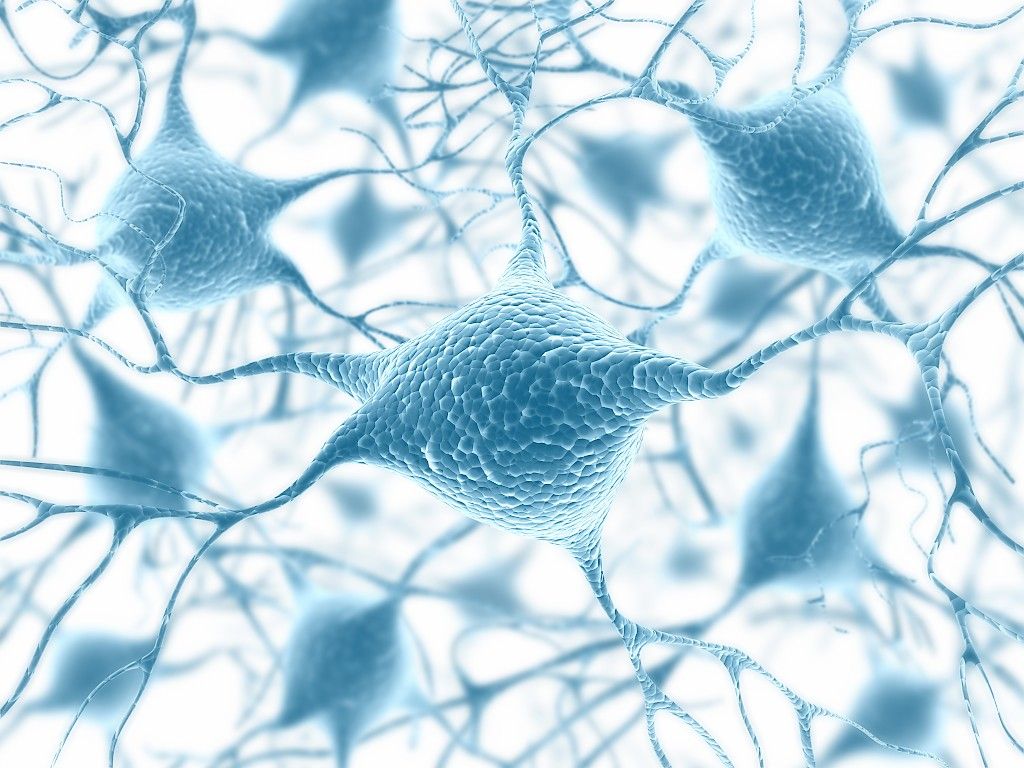 Hermosolujen okasten syntymekanismi löytyi