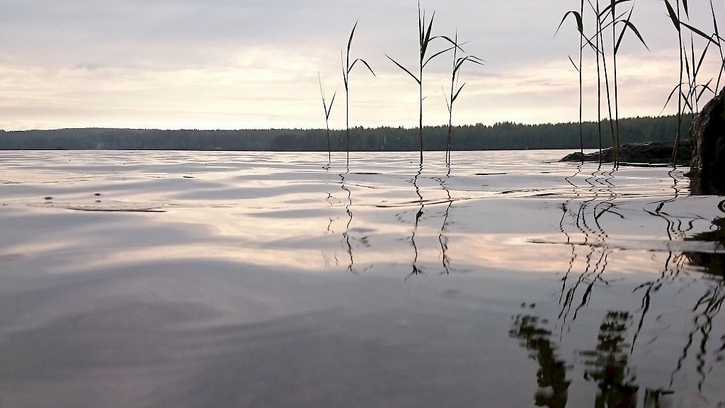 Päivän kuva: Vaatimusten tavoittamattomissa