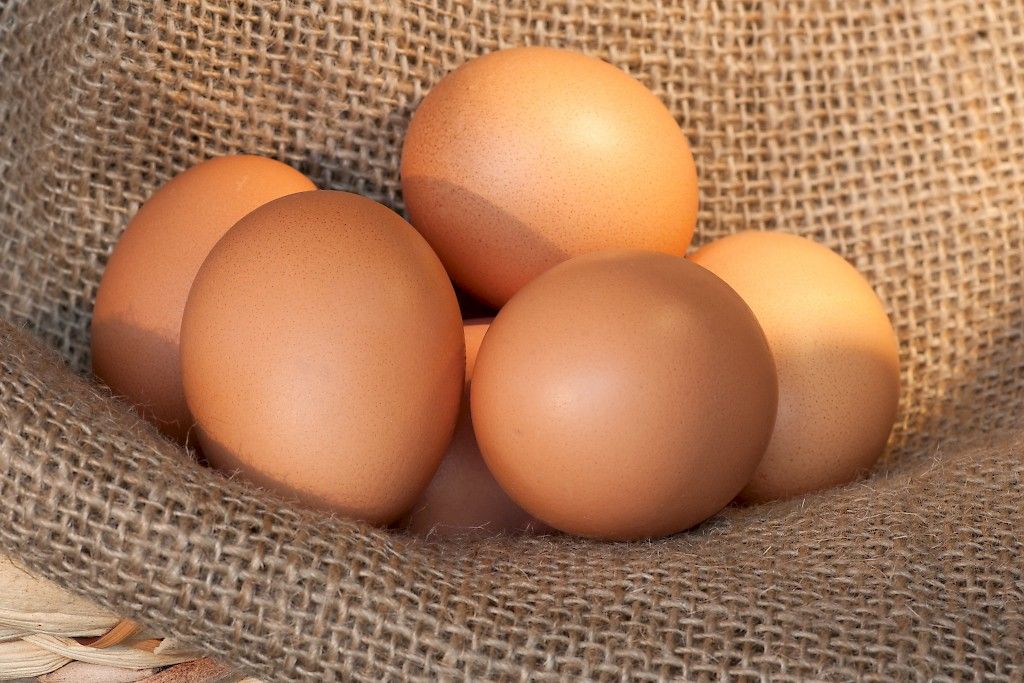 Suomalaistutkimus: Kananmuna päivässä ei ole sydänriski