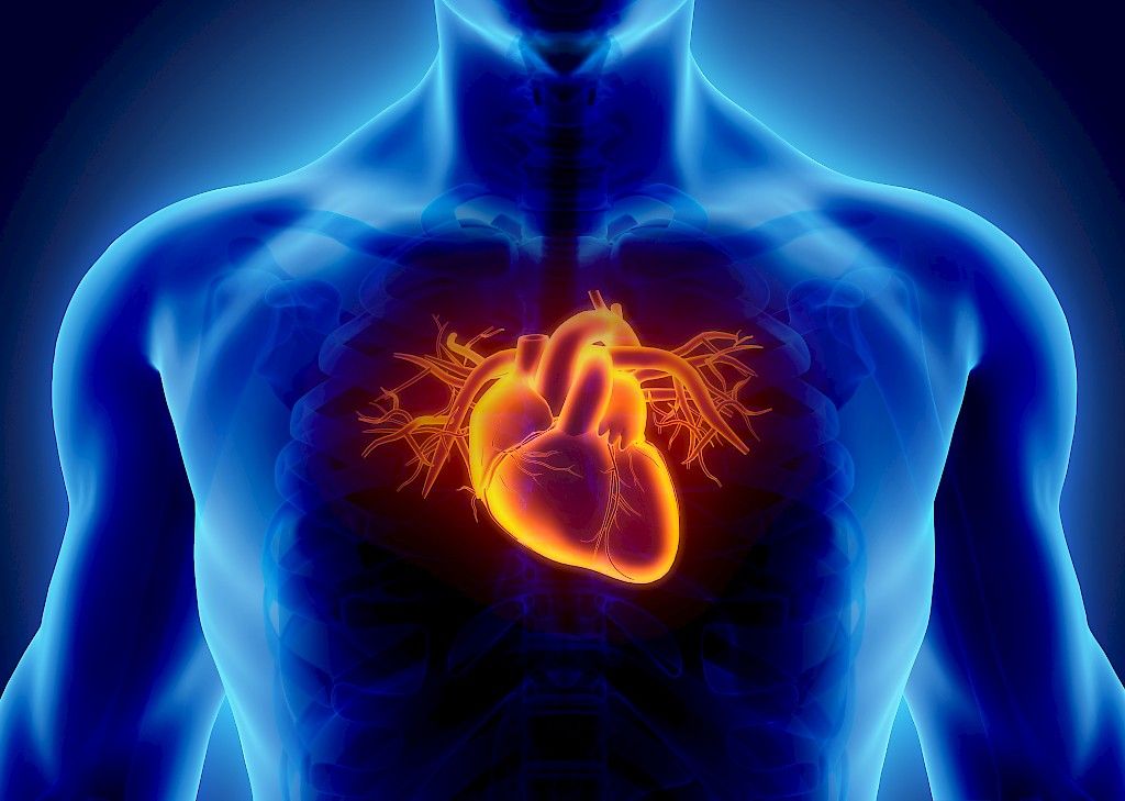 Korkea leposyke kertoo sydäntautien ja muiden sairauksien vaarasta