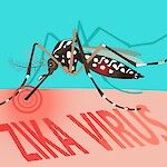 Influenssalääkkeet tepsivät myös zikavirukseen