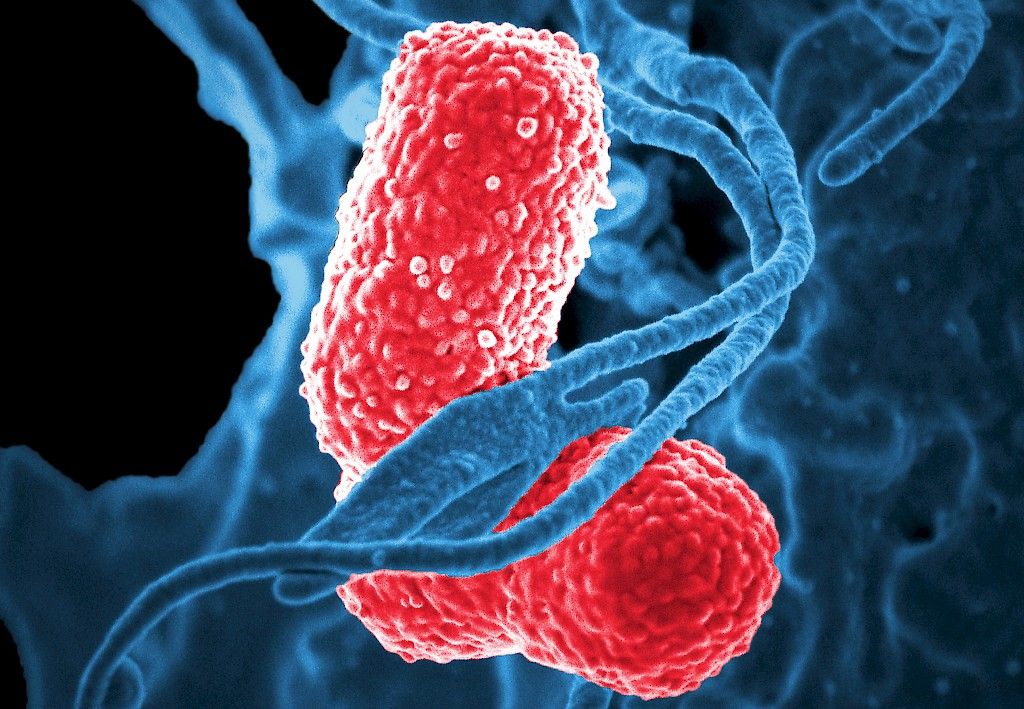 Antibiootteja edeltänyt  aika askelta lähempänä