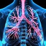 PALKO laatii suositukset kahdesta uudesta astmalääkkeestä