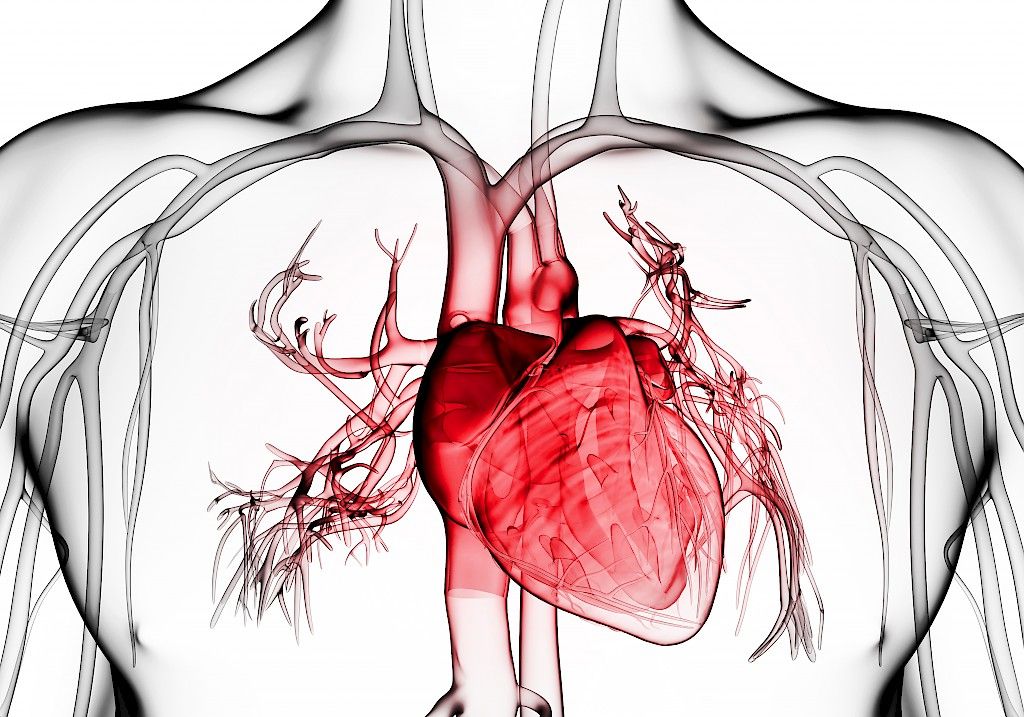 Hypotyreoosi lisää  hieman sydänsairausriskiä