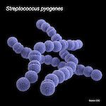 A-streptokokit kehittävät vastustuskykyä penisilliineille