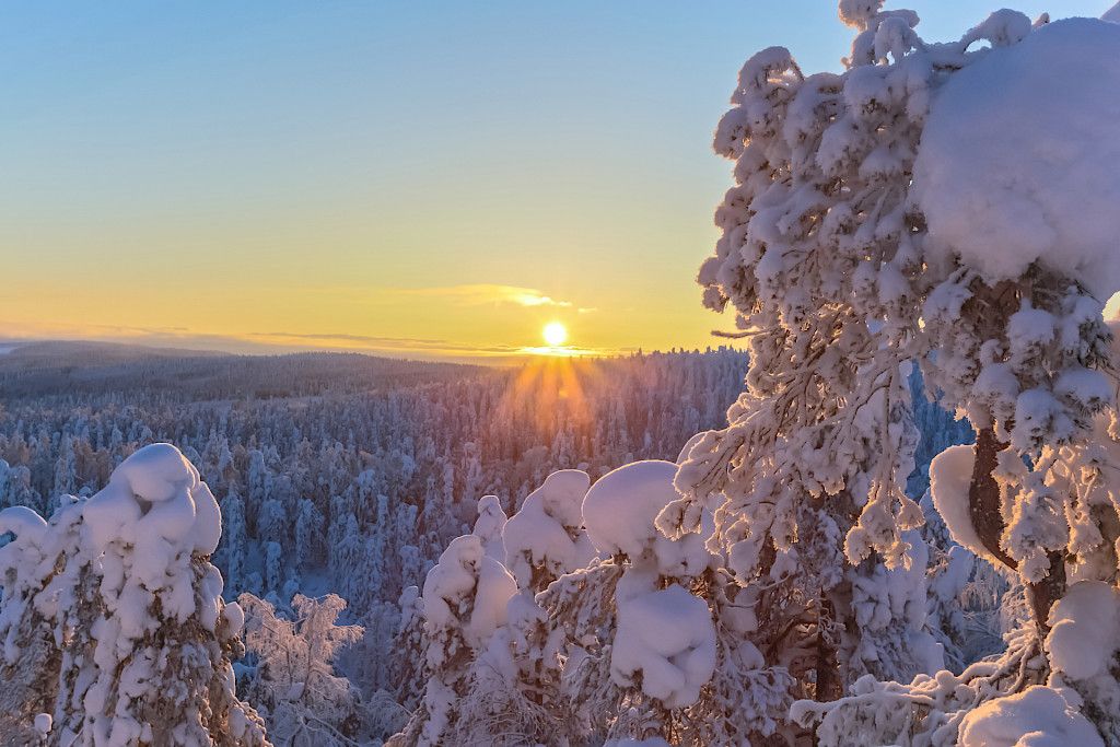 Hyvää joulua