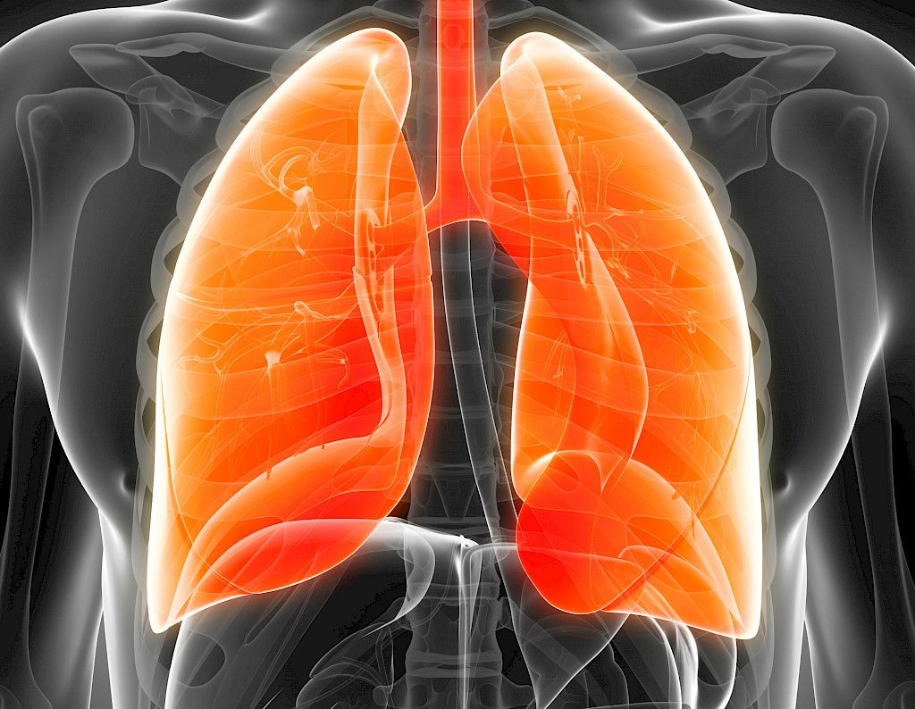 Inhaloitava kortikosteroidi altistaa keuhkoahtaumapotilaan pseudomonakselle