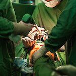 Väitös: Uudet implanttimallit lisäsivät komplikaatioiden riskiä Coxassa