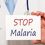 Uudesta vasta-aineesta hyvä suoja malariaa vastaan