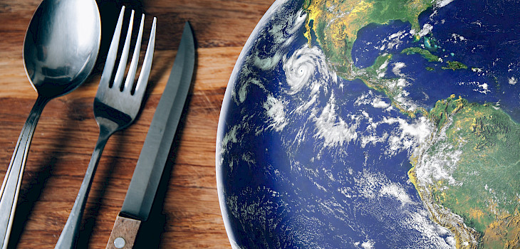 Tunnetko jo planetaarisen ruokavalion? ­— tällainen se on