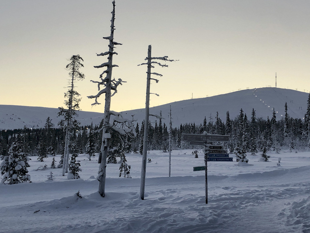 Pallaksen lumivyöryturma järkytti viime viikolla Suomessa.