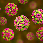 Norovirusepidemian huippua odotetaan helmi-maaliskuuksi