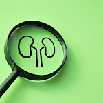 Virtsarakon syöpä on vakava sairaus – ennuste riippuu taudin vaiheesta