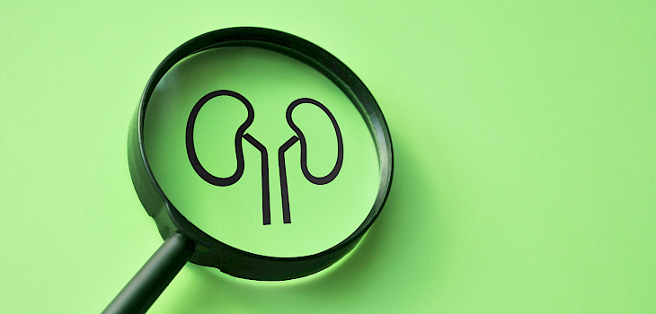 Virtsarakon syöpä on vakava sairaus – ennuste riippuu taudin vaiheesta