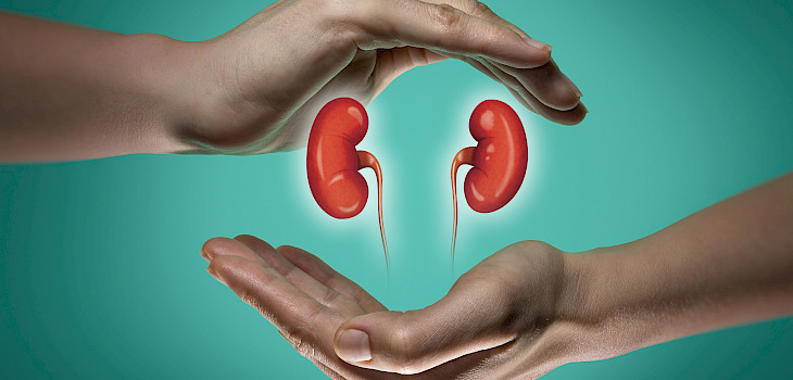 Munuaissairaudet etenevät usein huomaamatta ja siksi ne todetaan usein liian myöhään