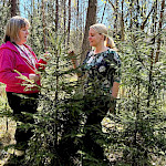 Metsäryhmät osaksi aikuispsykiatrian hoitoa