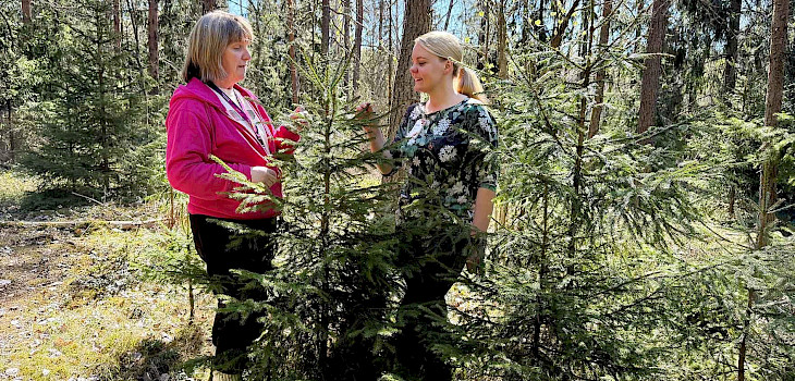 Metsäryhmät osaksi aikuispsykiatrian hoitoa