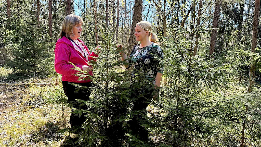 Marianne Ihalainen (vas.) ja Katri Hatanpää ohjaavat metsäryhmiä Tampereen Kaupissa.